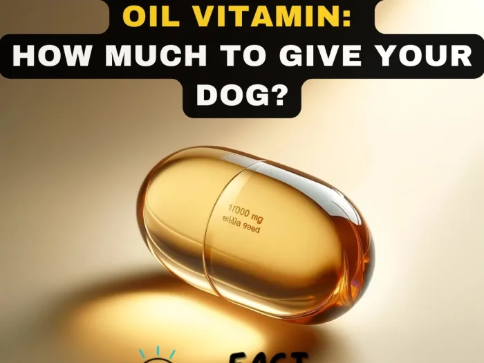 1000 mg Pumpkin Seed Oil Vitamin How Much to Give Your Dog