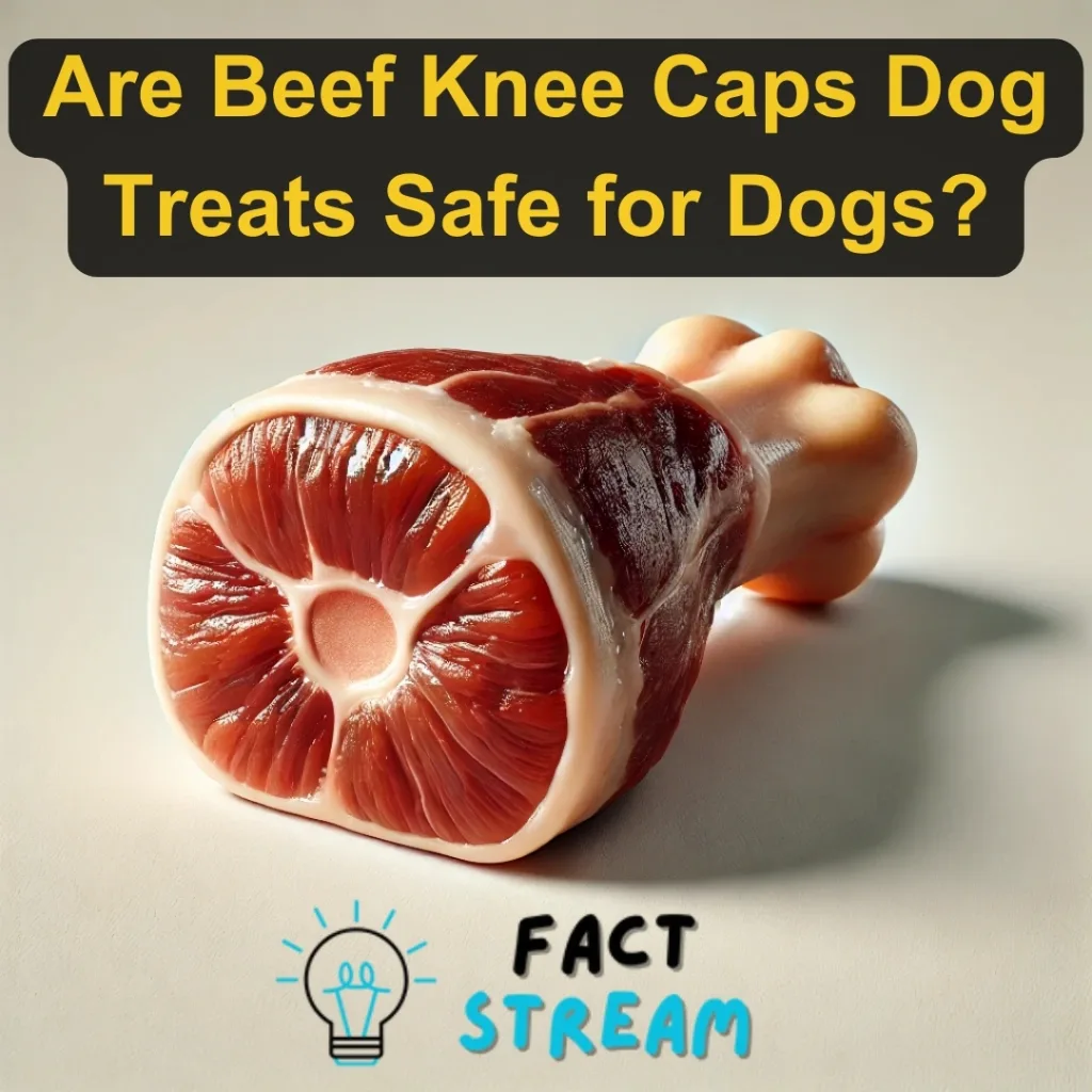 Are Beef Knee Caps Dog Treats Safe for Dogs