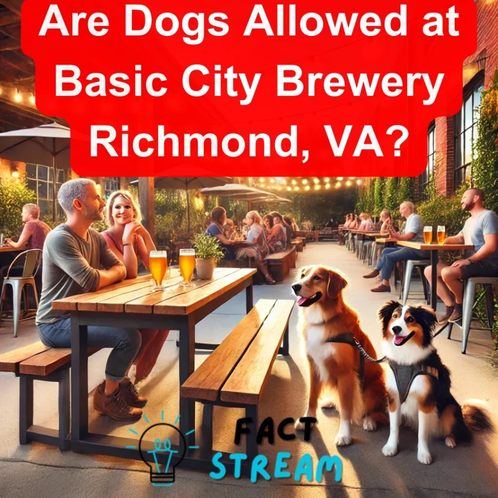 Are Dogs Allowed at Basic City Brewery Richmond, VA