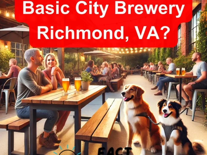 Are Dogs Allowed at Basic City Brewery Richmond, VA