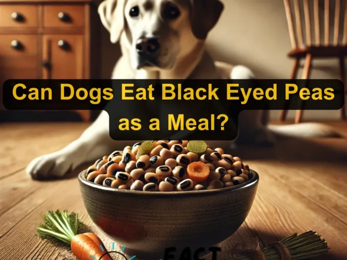 Can Dogs Eat Black Eyed Peas as a Meal