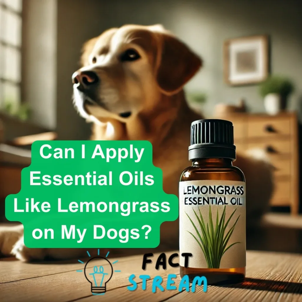 Can I Apply Essential Oils Like Lemongrass on My Dogs