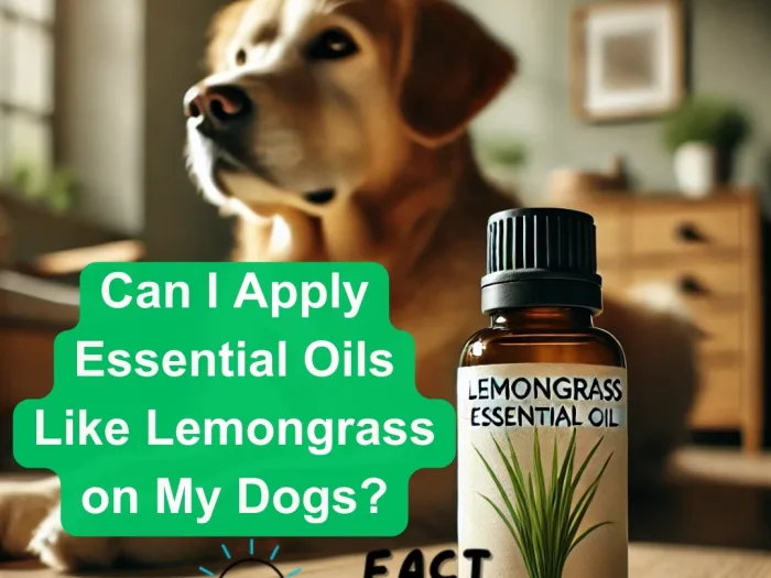 Can I Apply Essential Oils Like Lemongrass on My Dogs