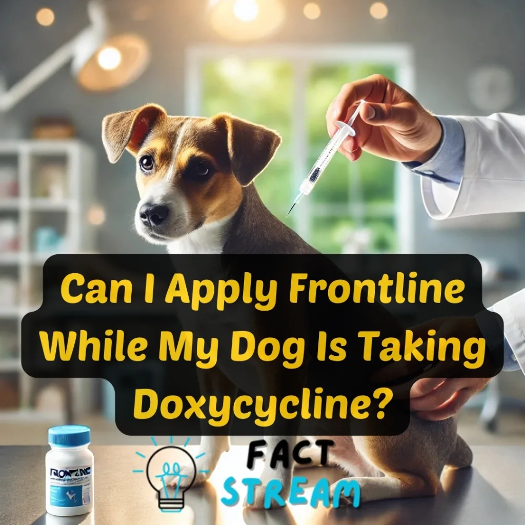 Can I Apply Frontline While My Dog Is Taking Doxycycline