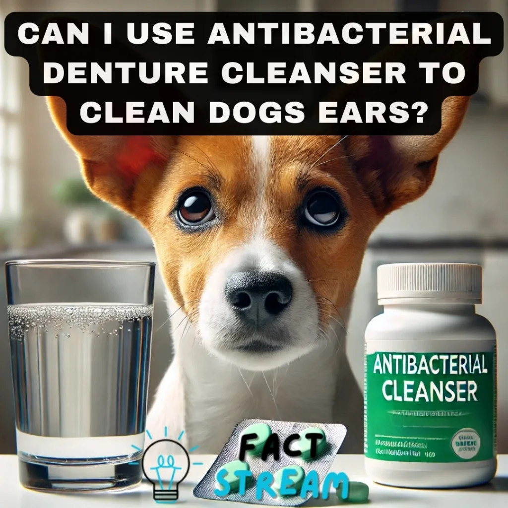 Can I Use Antibacterial Denture Cleanser to Clean Dogs Ears