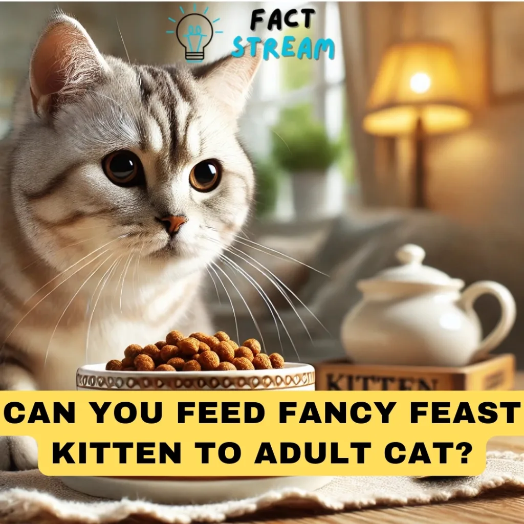 Can You Feed Fancy Feast Kitten to Adult Cat