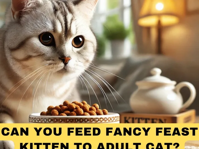 Can You Feed Fancy Feast Kitten to Adult Cat