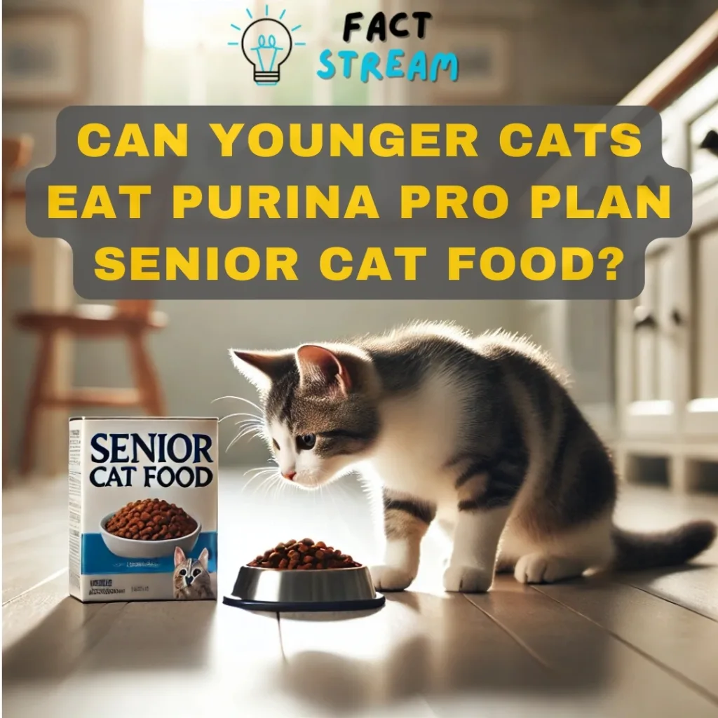 Can Younger Cats Eat Purina Pro Plan Senior Cat Food