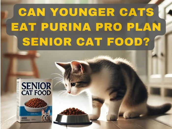 Can Younger Cats Eat Purina Pro Plan Senior Cat Food