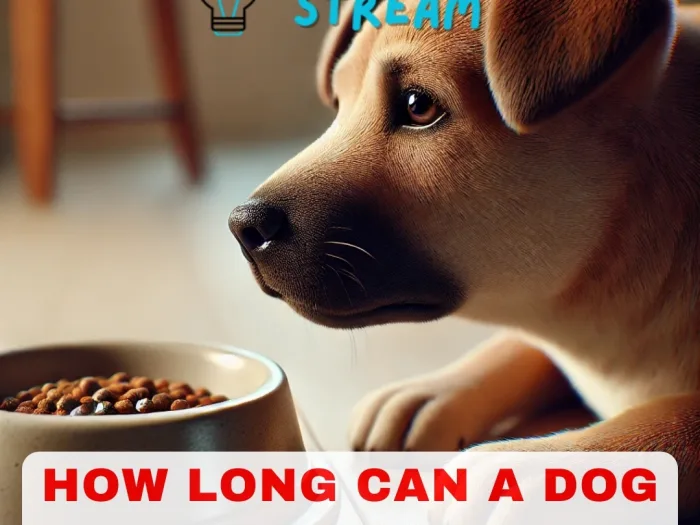 How Long Can a Dog Go Without Eating