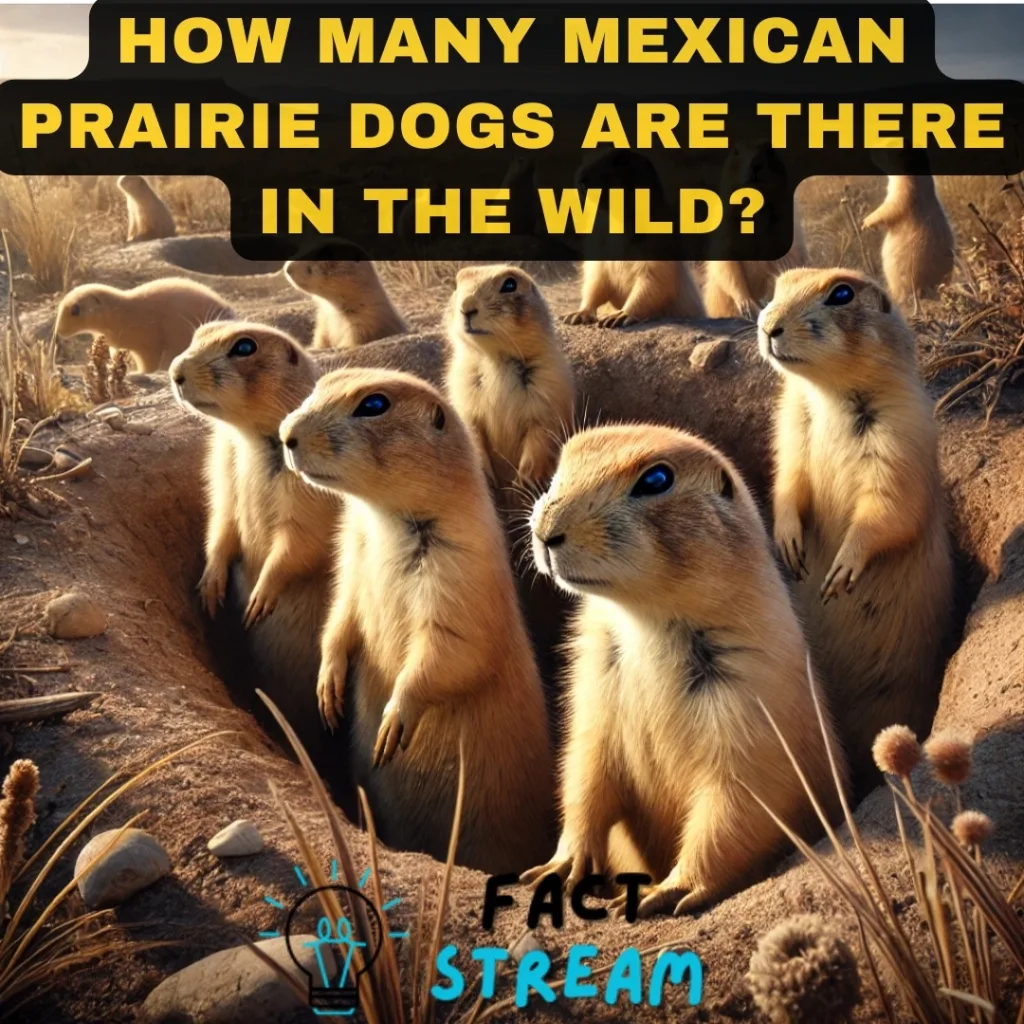 How Many Mexican Prairie Dogs Are There in the Wild