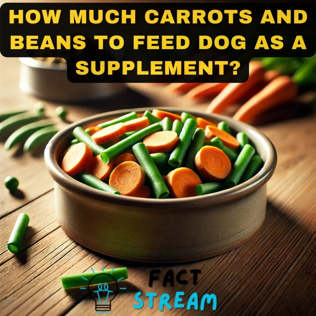 How Much Carrots and Beans to Feed Dog as a Supplement