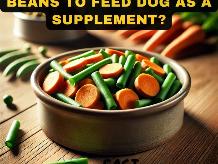 How Much Carrots and Beans to Feed Dog as a Supplement