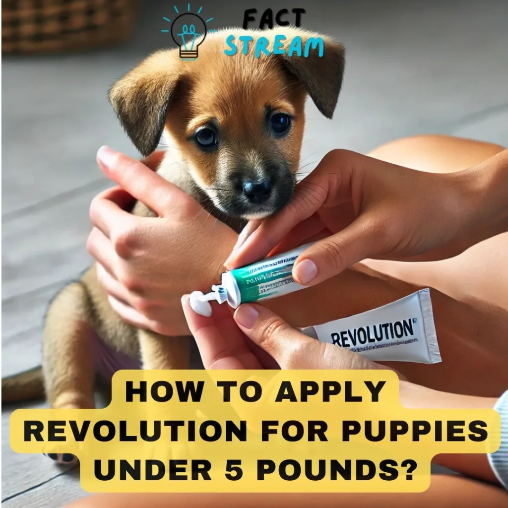 How to Apply Revolution for Puppies Under 5 Pounds