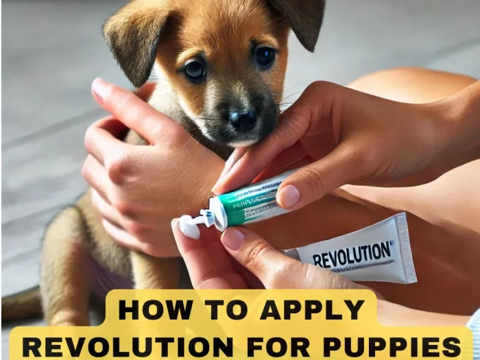 How to Apply Revolution for Puppies Under 5 Pounds