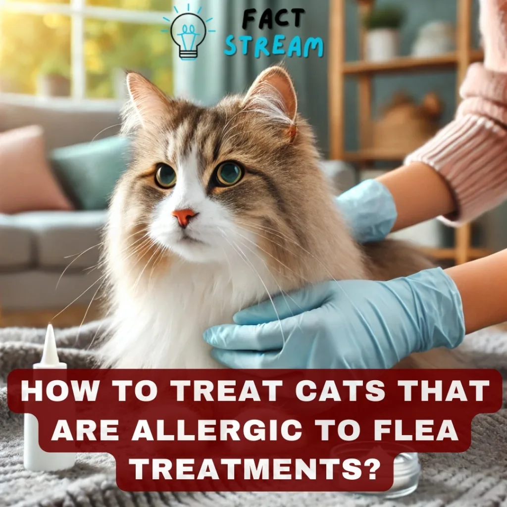 How to Treat Cats That Are Allergic to Flea Treatments