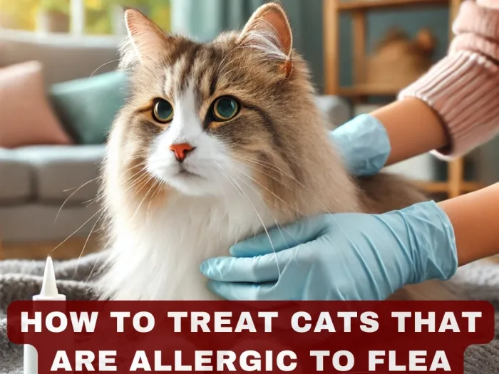 How to Treat Cats That Are Allergic to Flea Treatments