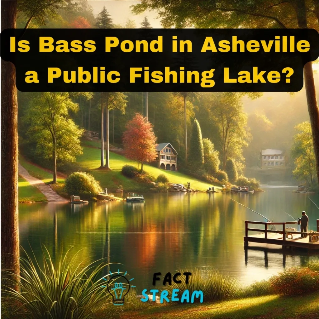 Is Bass Pond in Asheville a Public Fishing Lake