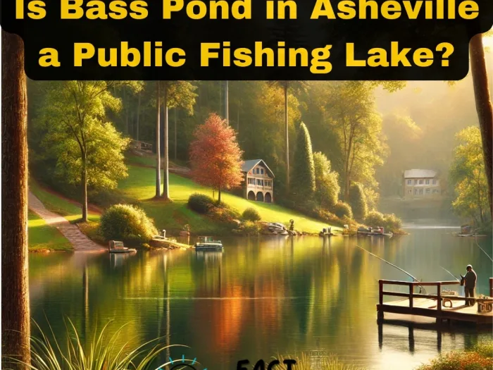 Is Bass Pond in Asheville a Public Fishing Lake