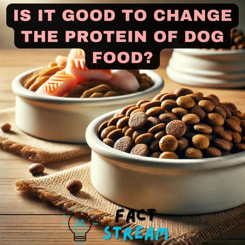 Is It Good to Change the Protein of Dog Food