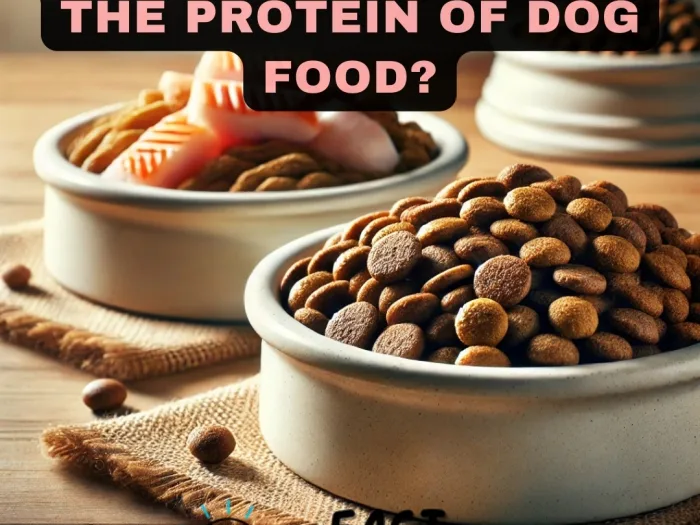 Is It Good to Change the Protein of Dog Food