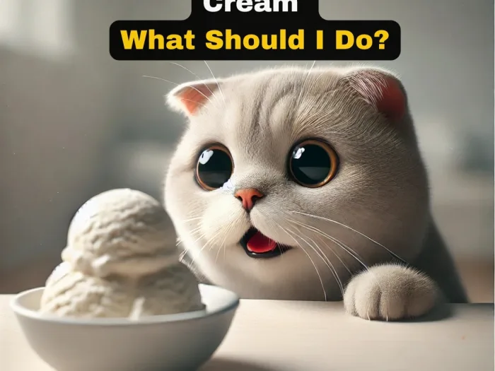 My Cat Goes Crazy Over Ice Cream What Should I Do