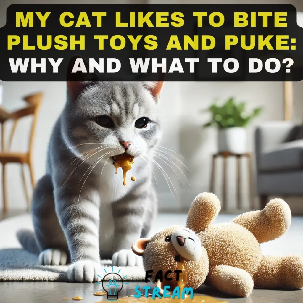 My Cat Likes to Bite Plush Toys and Puke Why and What to Do