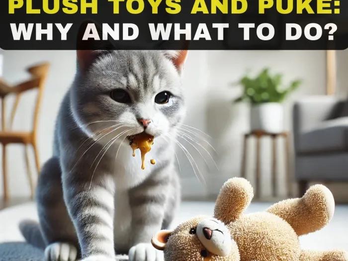 My Cat Likes to Bite Plush Toys and Puke Why and What to Do