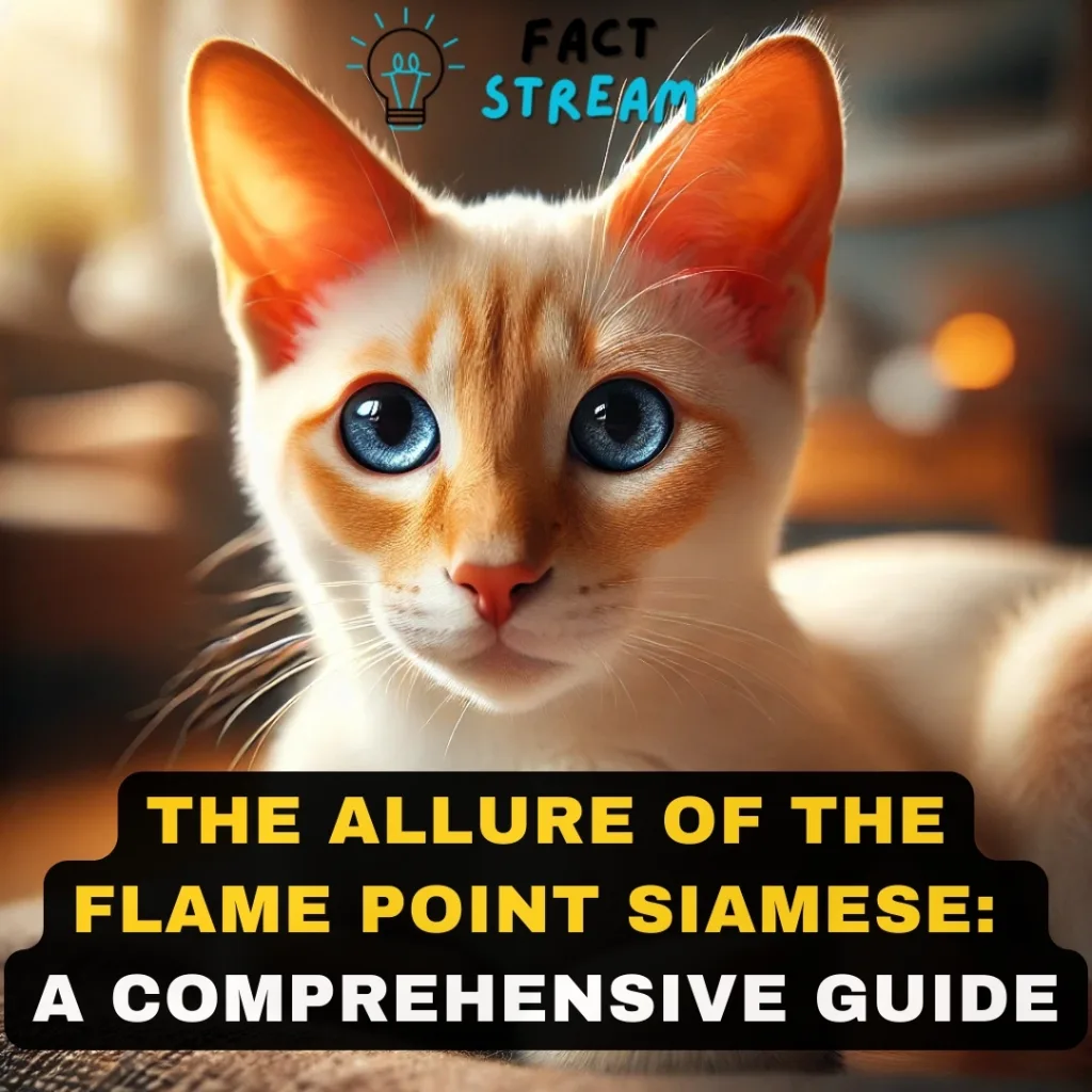 The Allure of the Flame Point Siamese A Comprehensive Guide