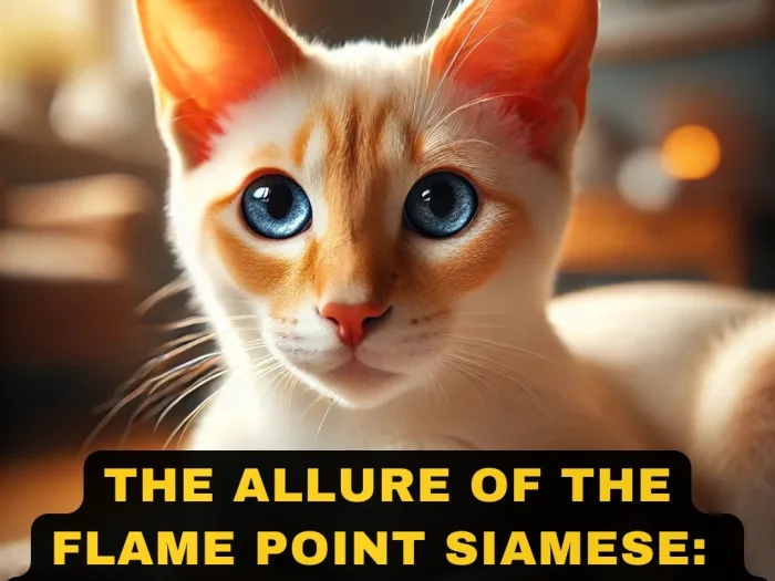 The Allure of the Flame Point Siamese A Comprehensive Guide