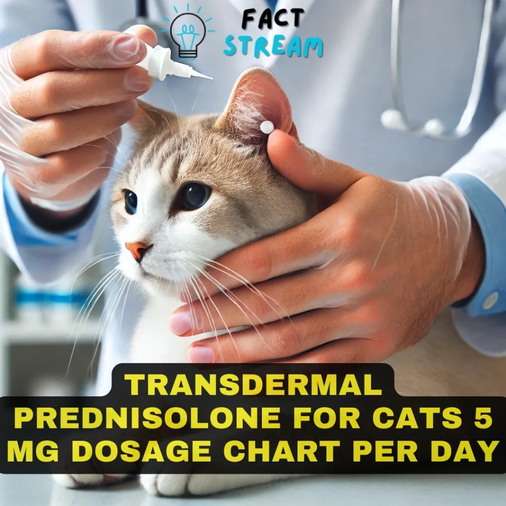 Transdermal Prednisolone for Cats 5 mg Dosage Chart Per Day