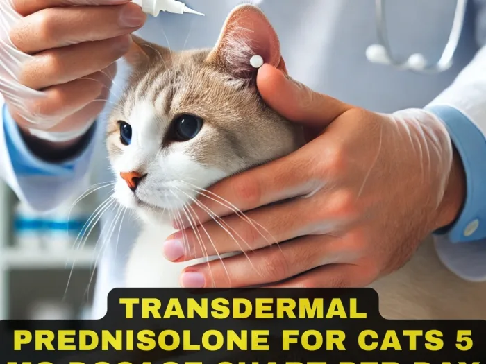 Transdermal Prednisolone for Cats 5 mg Dosage Chart Per Day