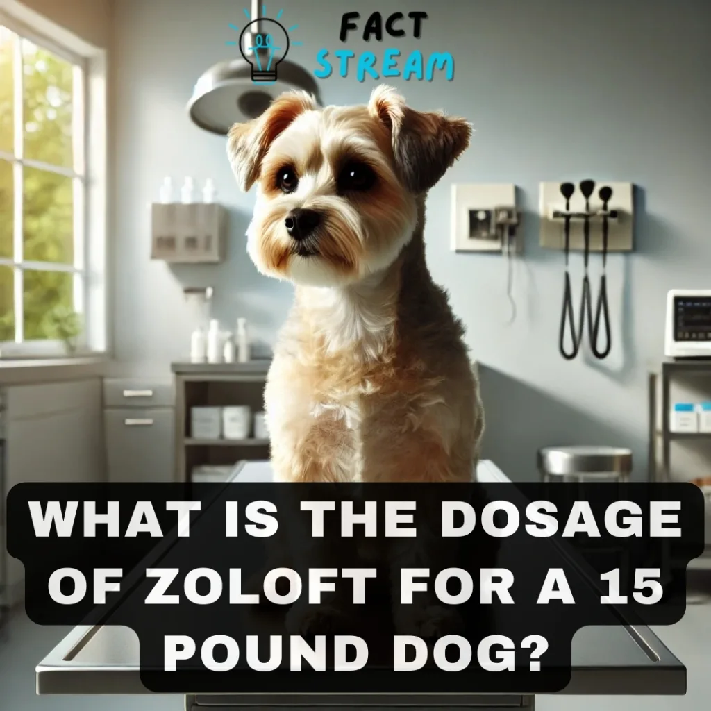 What is the Dosage of Zoloft for a 15 Pound Dog