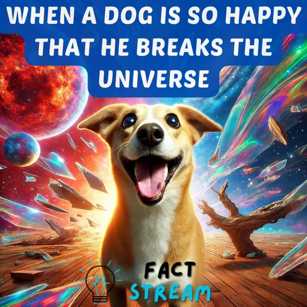 When a Dog Is So Happy That He Breaks the Universe