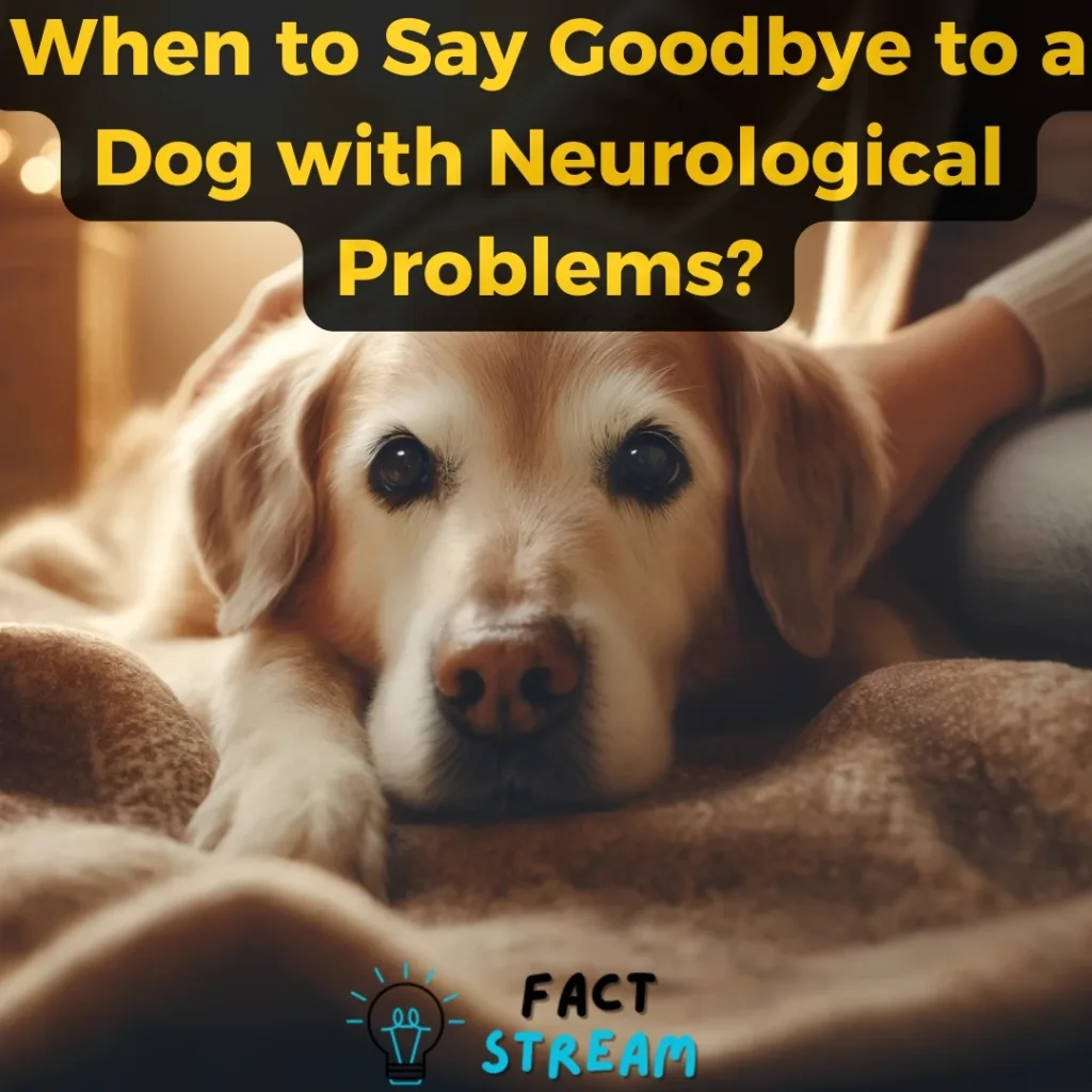 When to Say Goodbye to a Dog with Neurological Problems