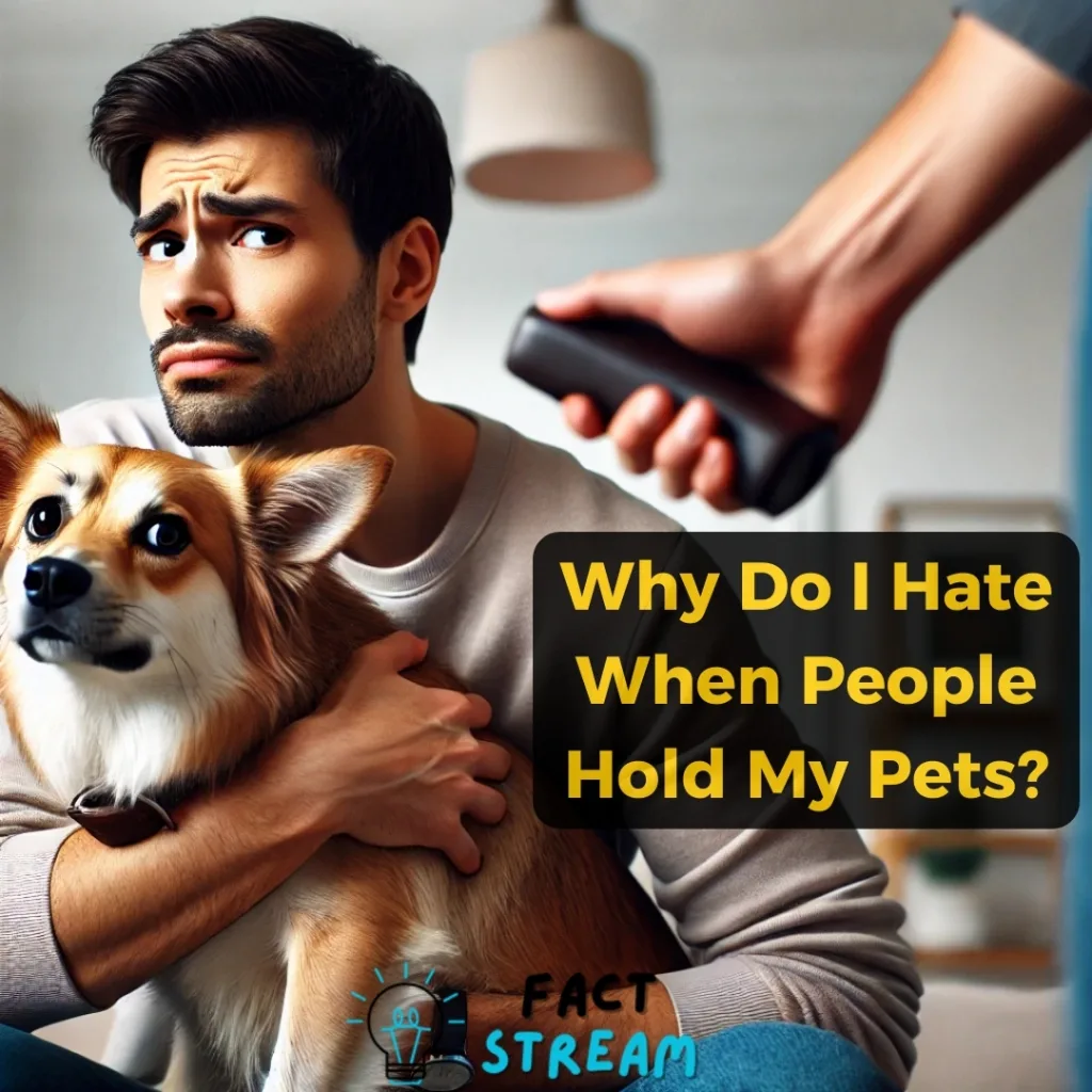 Why Do I Hate When People Hold My Pets