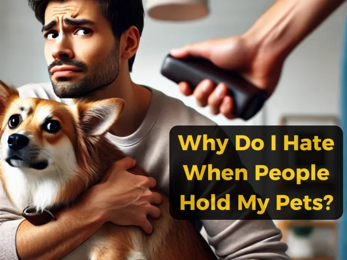 Why Do I Hate When People Hold My Pets