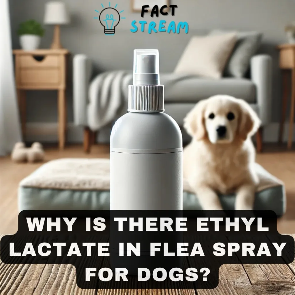 Why is There Ethyl Lactate in Flea Spray for Dogs