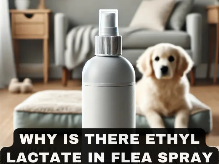 Why is There Ethyl Lactate in Flea Spray for Dogs