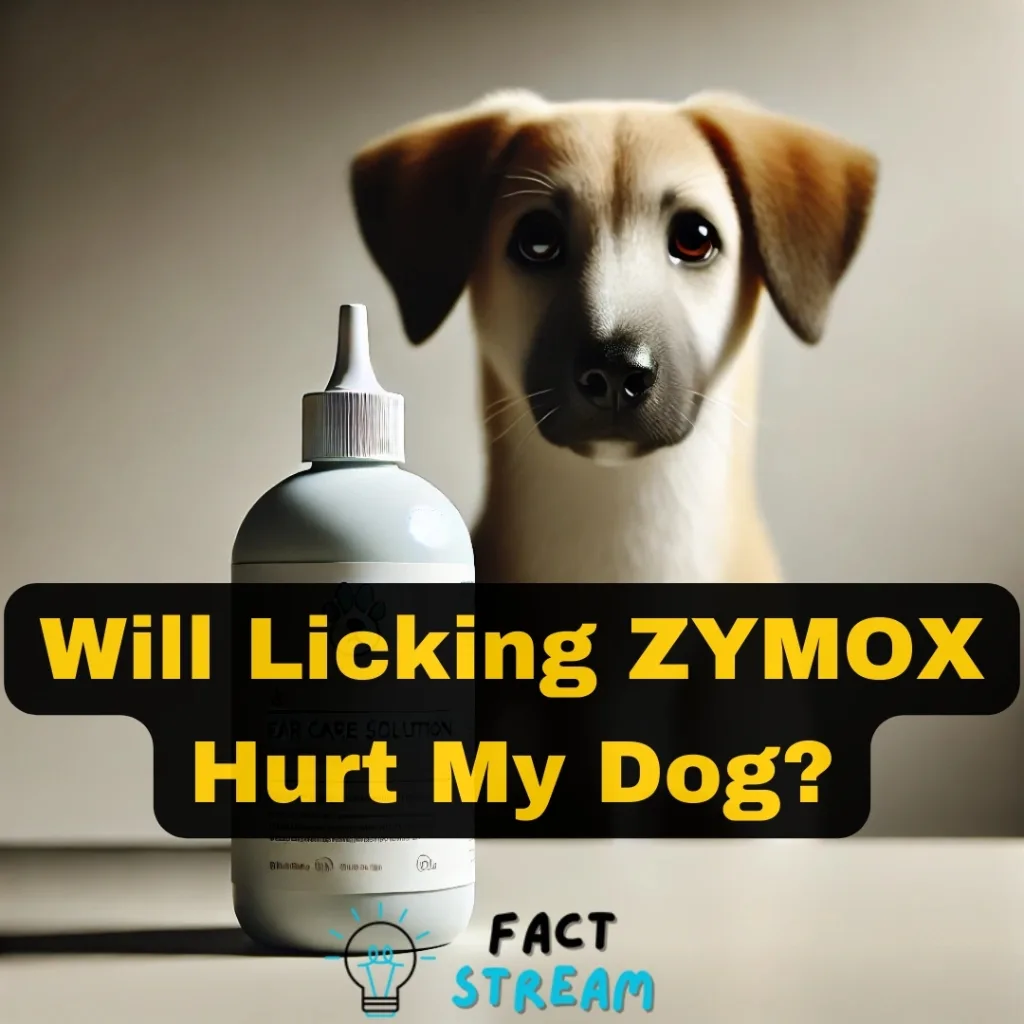 Will Licking ZYMOX Hurt My Dog