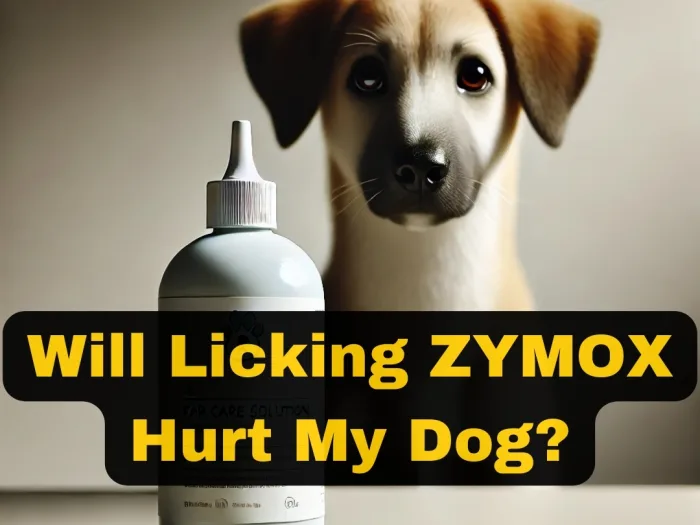 Will Licking ZYMOX Hurt My Dog