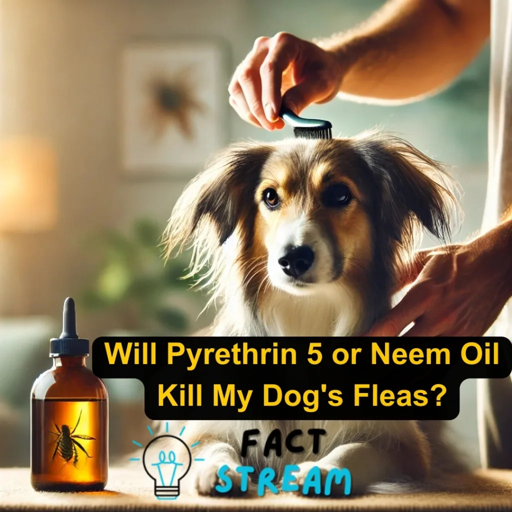 Will Pyrethrin 5 or Neem Oil Kill My Dog's Fleas