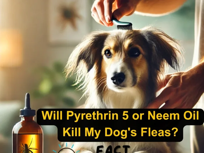 Will Pyrethrin 5 or Neem Oil Kill My Dog's Fleas